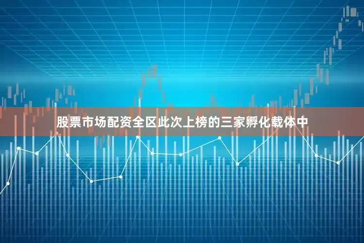 股票市场配资全区此次上榜的三家孵化载体中