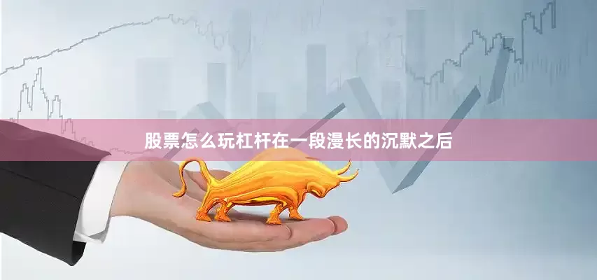 股票怎么玩杠杆在一段漫长的沉默之后